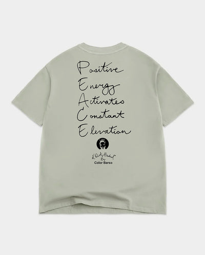 Color Bars X ODB - P.E.A.C.E T-Shirt - Sage T-Shirts Color Bars
