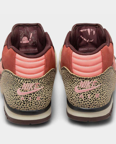 Nike SB - Air Trainer QS x Arts Rec - Limestone/Pink Quartz-Earth-Dusty Peach Shoes Nike