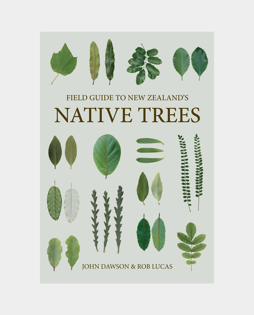 Potton & Burton - Field Guide to New Zealand Native Trees - J Dawson & R Lucas Lifestyle Potton & Burton