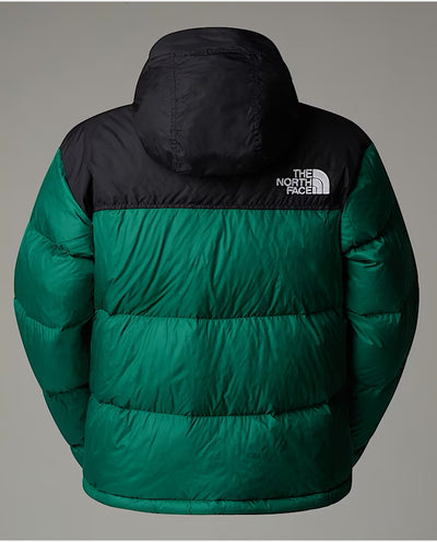 The North Face - Women’s 1996 Retro Nuptse Jacket - Evergreen Jackets The North Face