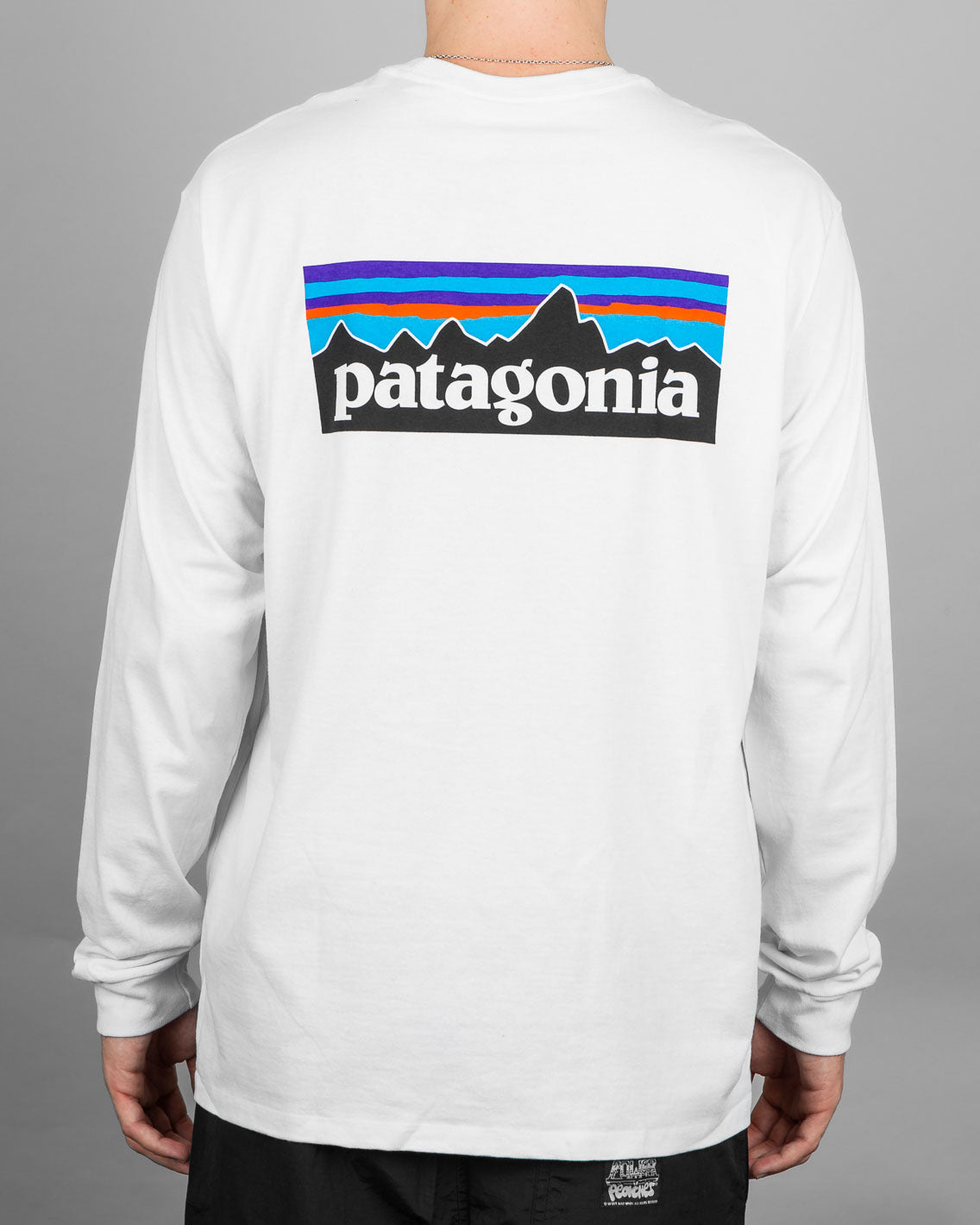 Patagonia - M's L-S P-6 Responsibili Tee - White